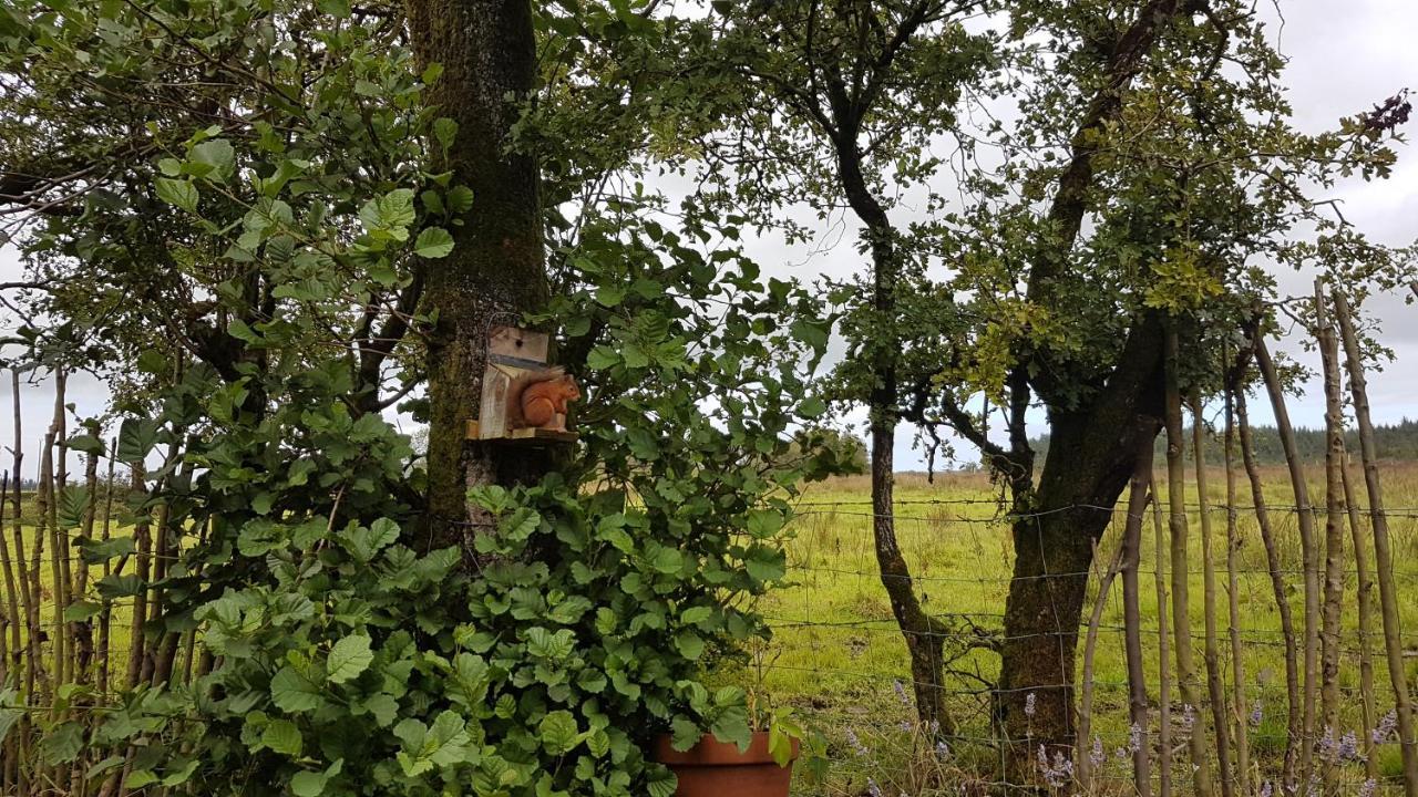 Cosy Cottage On The Causeway Coast And Glens 밸리캐슬 외부 사진
